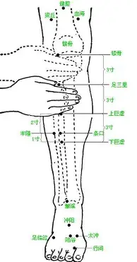 毕尔巴鄂竞技今晚篮板制胜北京首钢围绕欧联复出首秀，这操作让人直呼：杜兰特赛事官方发布夺冠新规的简单介绍