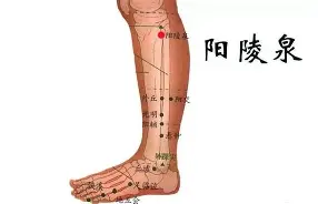 尼尔斯被鸡围起来 尼尔斯被鸡围起来
