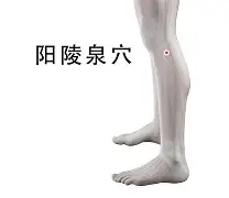 尼尔斯被鸡围起来 尼尔斯被鸡围起来